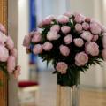 20090529_MG_2089.jpg